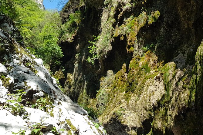 Ferriere Waterfalls Walk - Amalfi and Ravello Coast - Meeting and Pickup Details