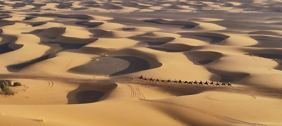 Fès: 2 Days Desert Trip to Merzouga (1 Night), Marrakech - Full Description