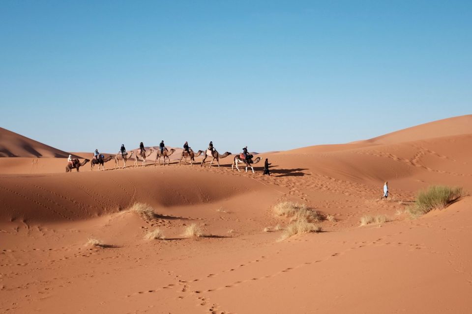 Fes To Marrakech: 3-Day Desert Tour - Tour Highlights and Activities