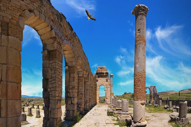 Fes to Meknes and Volubilis Day Trip - Booking and Assistance