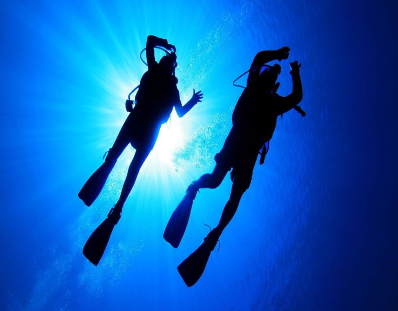 Fethiye: 2 Guided Scuba Dives With Lunch and Hotel Transfers - Language and Communication Support