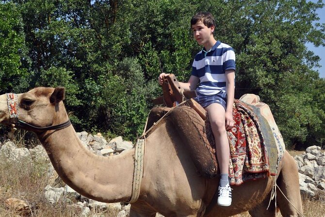 Fethiye Camel Riding at Gosht Town - Booking and Requirements