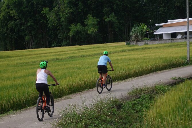 FIELDS OF GOLD Mountain Biking Tour Chiang Mai - Bike Details