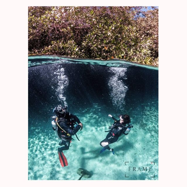 First Scuba Diving Experience in a Cenote - Full Description