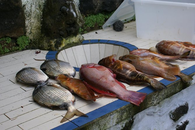 Fish In the Azores - Traveler Resources and Information