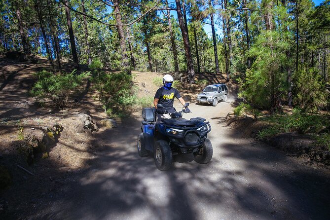 Forest & Off Road National Park Quad Biking Tour - Key Points