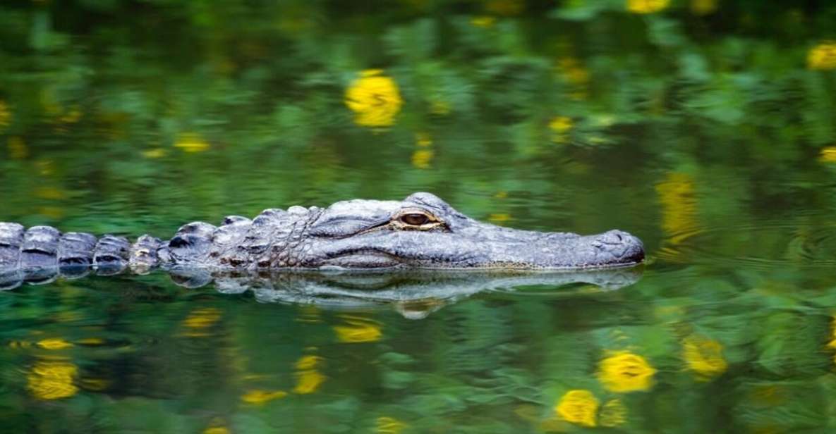 Fort Lauderdale: Everglades Express Tour With Airboat Ride - Location and Wildlife Exploration