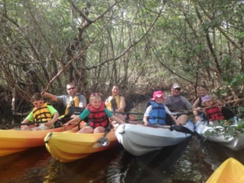 Fort Myers: Guided Kayaking Eco Tour in Pelican Bay - Inclusions