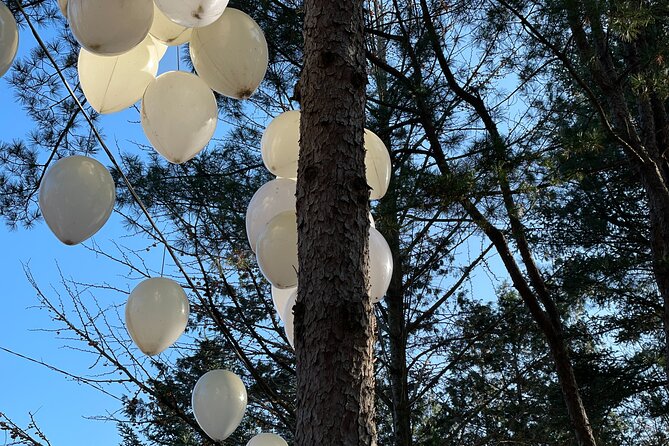 Four Seasons of Nami Island With Garden of Morning Calm Tour - Garden of Morning Calm Overview