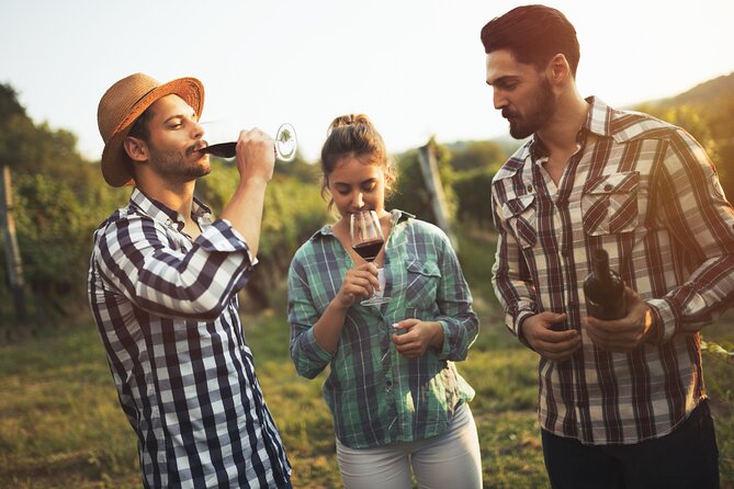 Frankfurt Wine Tasting Tour With a Wine Expert - Group Size Variations