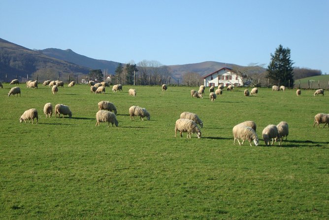 French Basque Countryside Private Tour - Cancellation Policy
