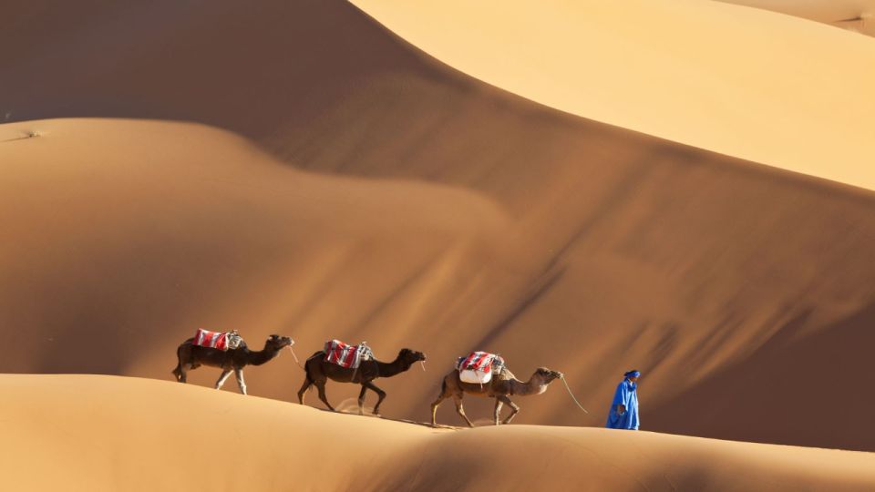 From Agadir : 4-Day Private Desert Tour To Zagora & Merzouga - Itinerary