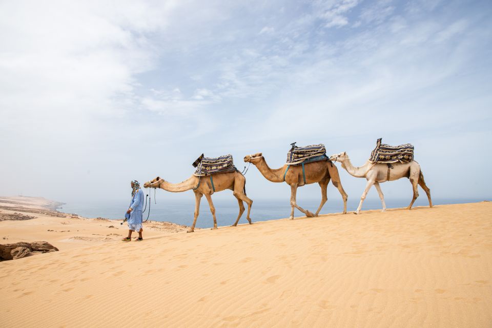 From Agadir: 44 Jeep Desert Safari With Lunch and Pickup - Experience Highlights of the Safari