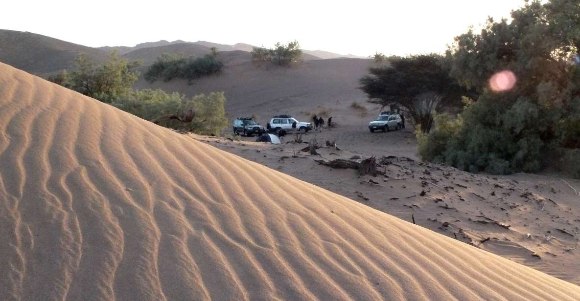 From Agadir: 44 Jeep Sahara Desert Tour With Lunch - Experience Highlights