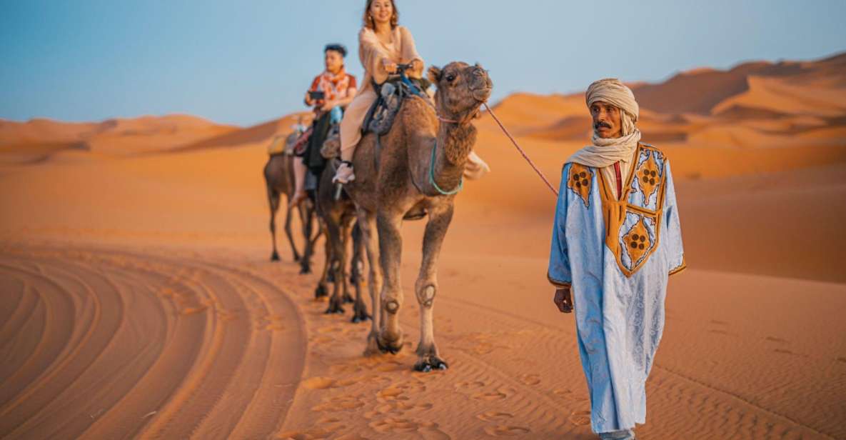 From Agadir: Camel Ride and Flamingo Trek - Full Experience Description