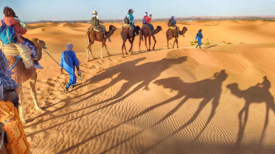 From Agadir: Camel Ride and Flamingo Trek - Camel Ride Description