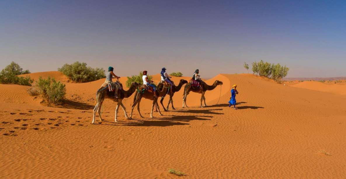 From Agadir: Camel Ride and Flamingo Trek - Location Exploration