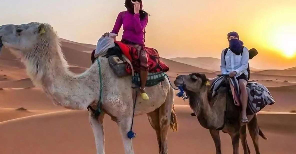 From Agadir: Merzouga 3-Day Desert Safari With Meals - Inclusions