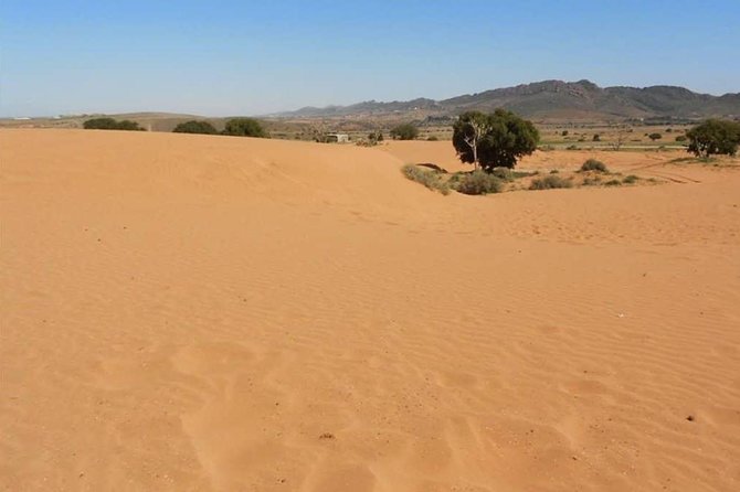 From Agadir or Port Trip to Small Sahara of Massa and Tiznit With Lunch - Optional Camel Ride