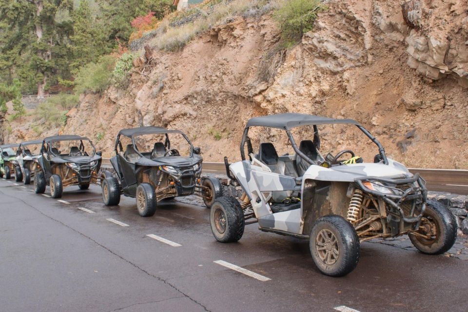 From Agadir or Taghazout: Dune Buggy Tour - Tour Highlights
