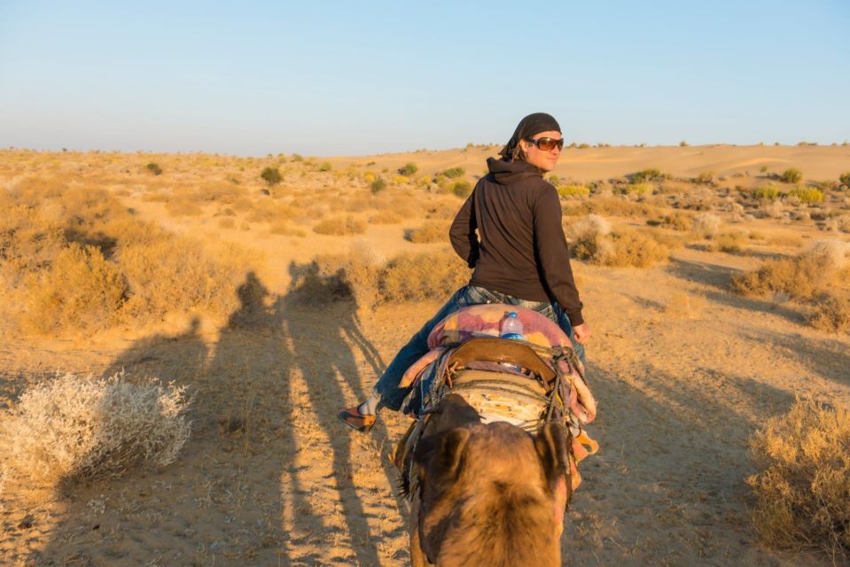 From Agadir or Taghazout: Flamingo River Camel Ride With Tea - Full Description