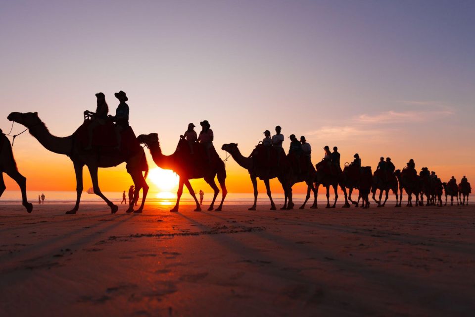From Agadir or Taghazout: Flamingo River Camel Ride With Tea - Reviews and Ratings