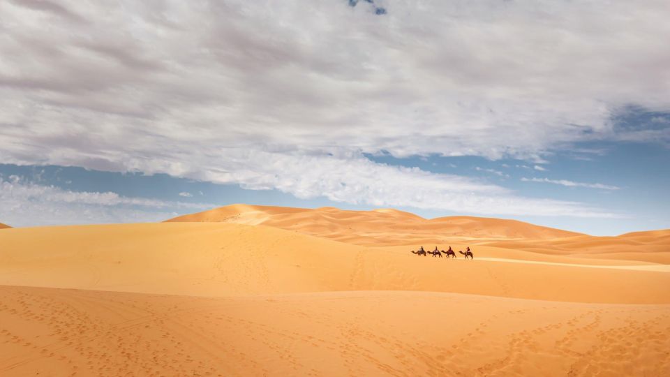 From Agadir/Taghazout: Sahara Sand Dunes With Transfer - Full Description of Tour