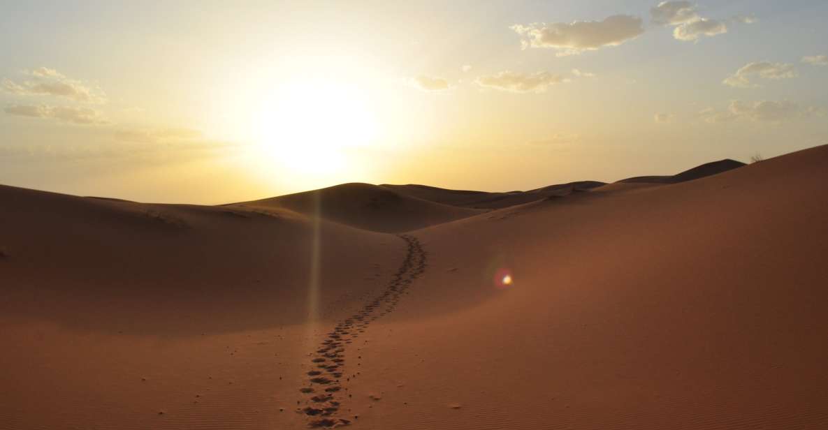 From Agadir/Taghazout: Sahara Sand Dunes With Transfer - Tour Description