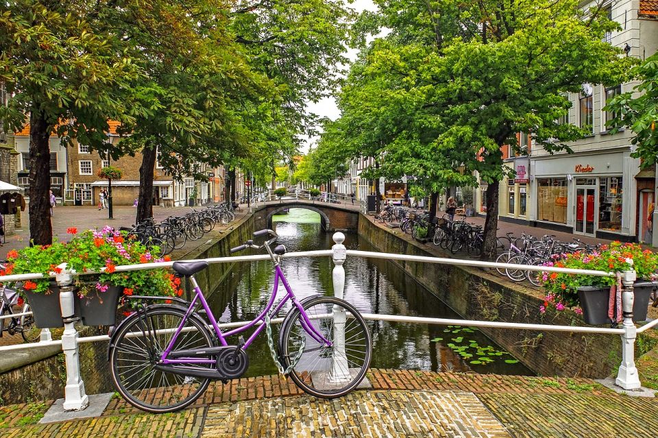 From Amsterdam: Delft and The Hague Private Tour - Host and Pickup Services