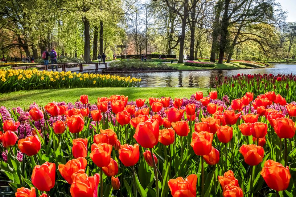 From Amsterdam: Keukenhof Entry and Roundtrip Shuttle Bus - Booking Information