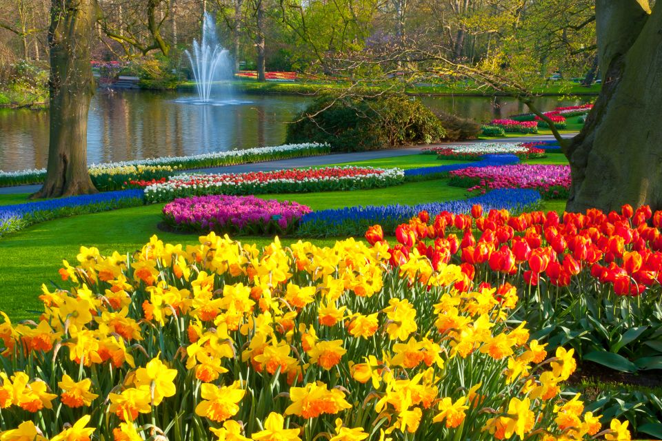 From Amsterdam: Keukenhof Flower Park Transfer With Ticket - Customer Reviews Overview