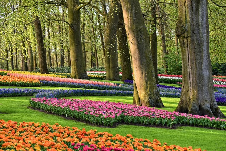 From Amsterdam: Keukenhof Gardens and Giethoorn Tour - Keukenhof Gardens Visit