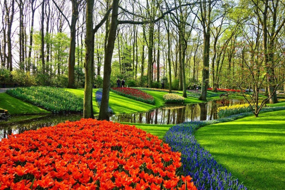 From Amsterdam: Private Windmills and Keukenhof Tour - Experience Highlights