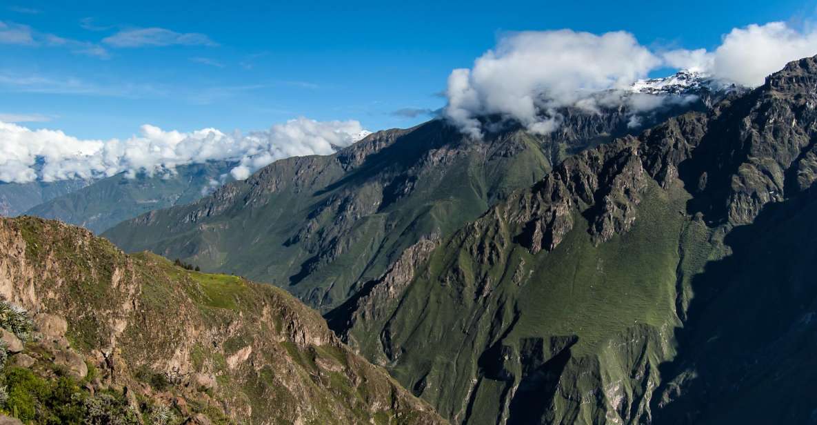 From Arequipa: Colca Canyon & La Calera Thermal Waters - Guide and Transportation Experience