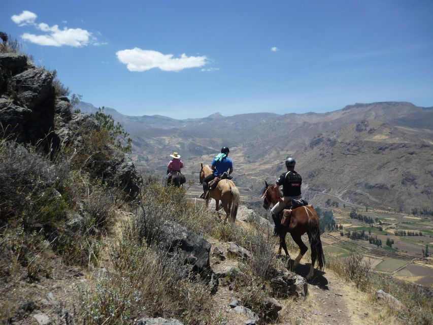 From Arequipa: Colca Valley/Canyon 2-Day Tour & Horse Riding - Key Experience Highlights