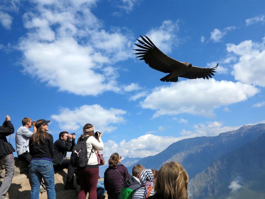 From Arequipa: Day Trip to the Colca Canyon - Inclusions in the Package