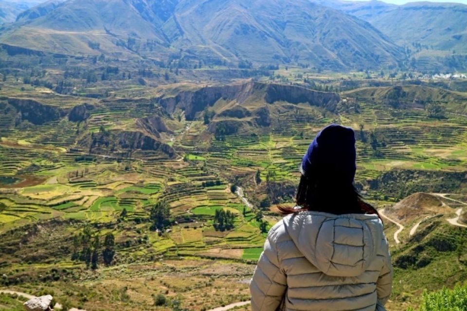 From Arequipa: Full-Day to Colca Canyon - Condor Viewing at Cruz Del Cóndor