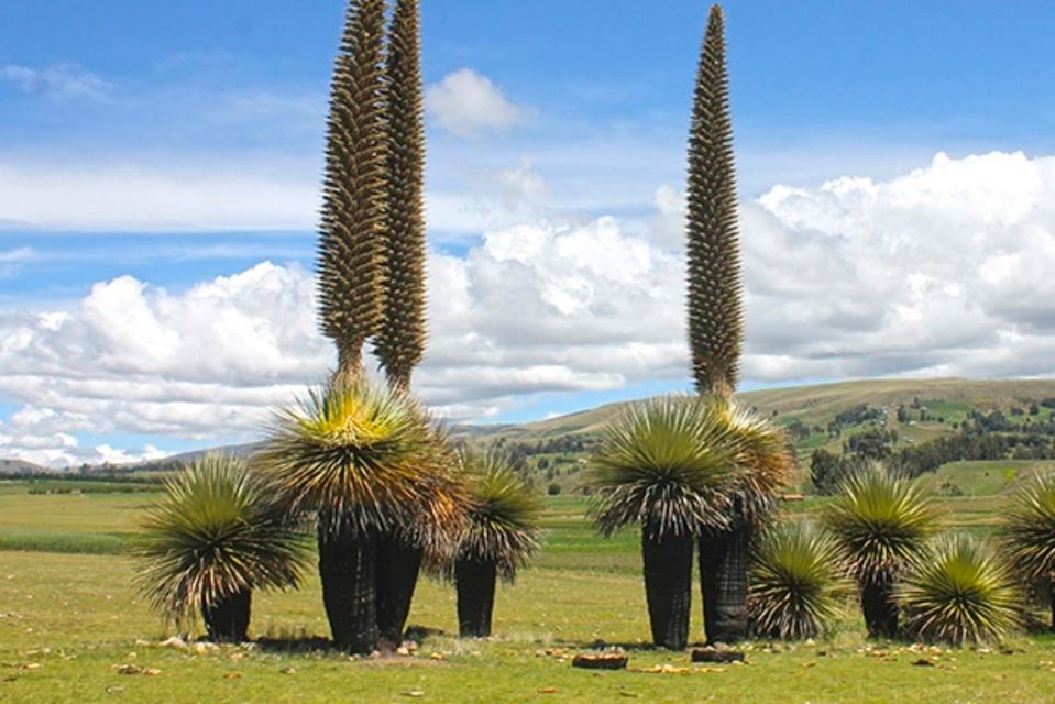 From Ayacucho: Tour to Vilcashuaman, the Inca Route - Tour Highlights and Itinerary