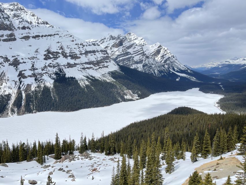 From Banff: Icefield Parkway Scenic Tour With Park Entry - Safety and Guidelines