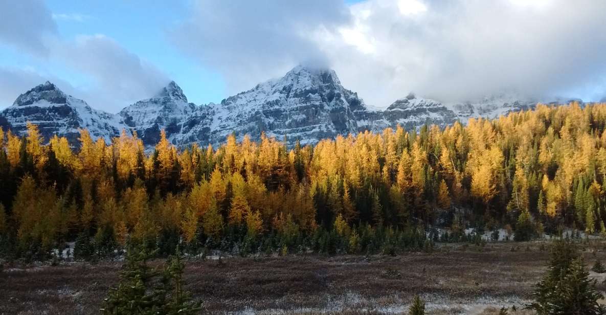 From Banff or Lake Louise: Moraine Lake & Larch Valley Hike - Scenic Views