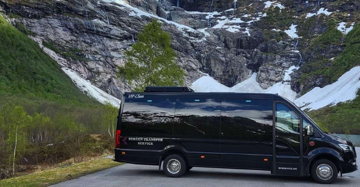 From Bergen: Private Transfer to Gudvangen - Service Quality