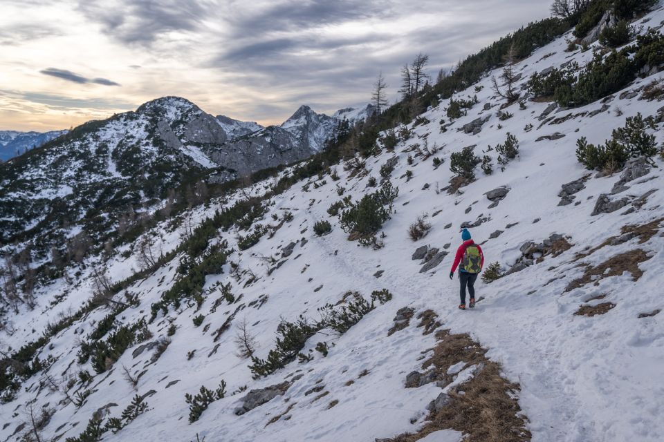 From Bled: Day Trip to Julian Alps & Hiking With Local Guide - Technology and Cookies