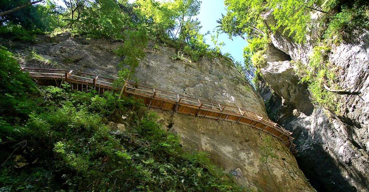 From Bled: Half-Day Pokljuka Gorge Trail Hike - Booking Details