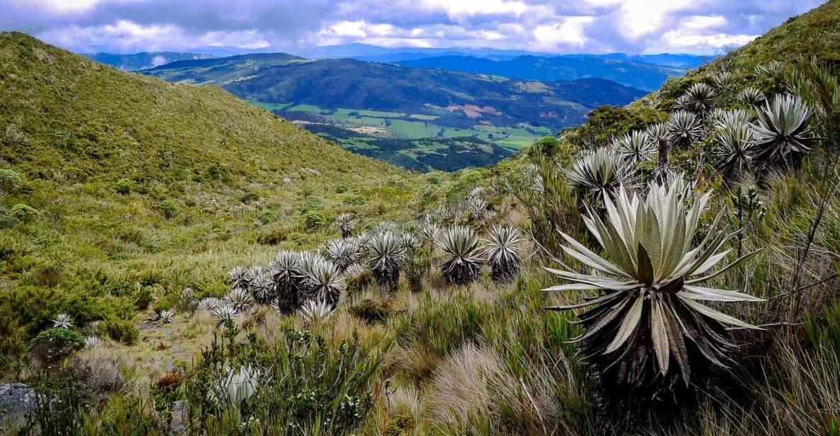 From Bogotá: Chingaza National Park Eco Tour - Tour Description