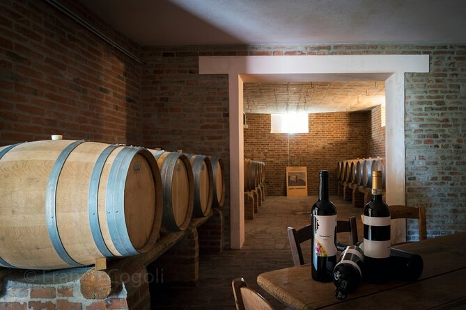 From Bologna: Wine Tasting and Vineyard Tour With the Winemaker - Location and Transportation