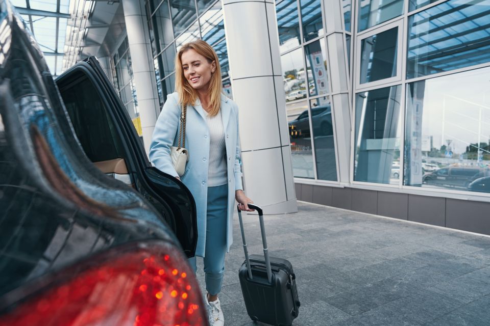 From Buffalo Airport: Niagara Falls Private Transfer - Private Group Experience