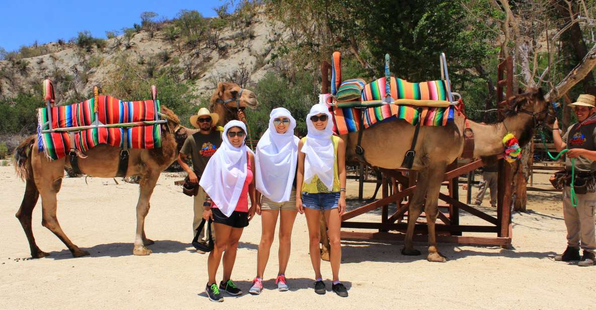 From Cabo: El Tule Canyon Camel Adventure - Inclusions