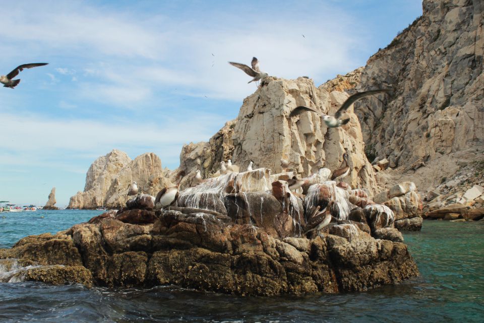 From Cabo San Lucas: Lovers Beach and El Arco Boat Trip - Location and Details for the Experience