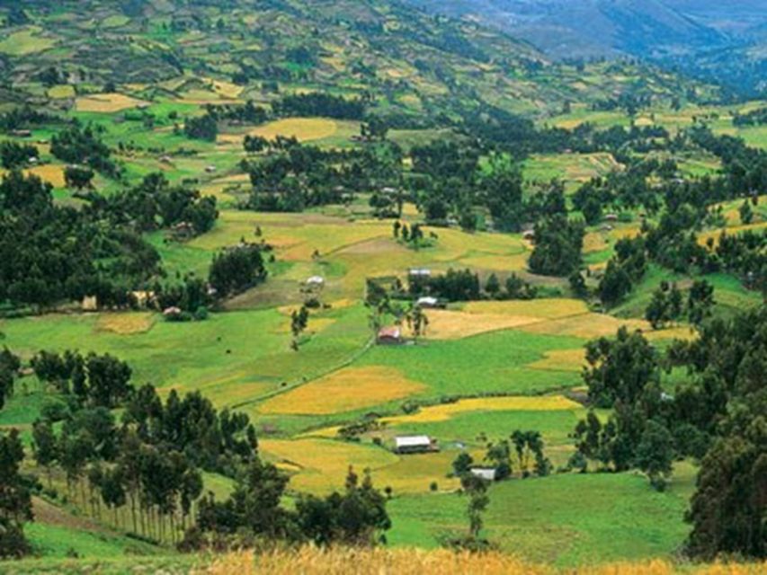 From Cajamarca: Porcón and Otuzco - Experience Highlights in Porcón and Otuzco