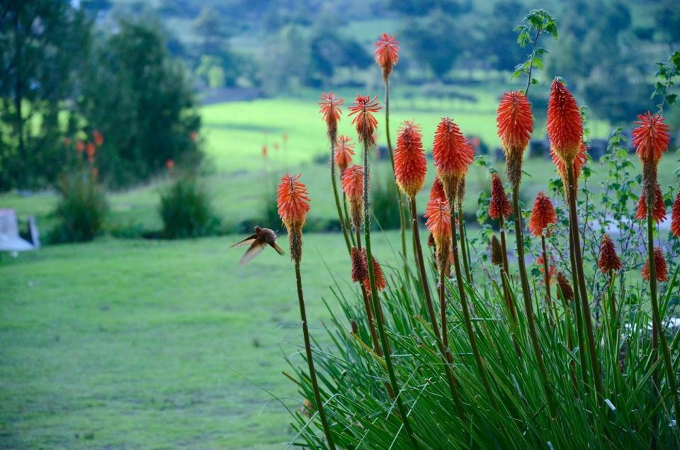 From Cajamarca: Porcon Farm - Tour Inclusions